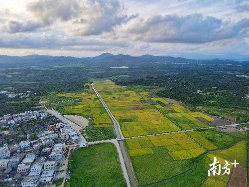 惠来县鳌江镇爆料事件最新,事件真相及后续进展全解析  第3张